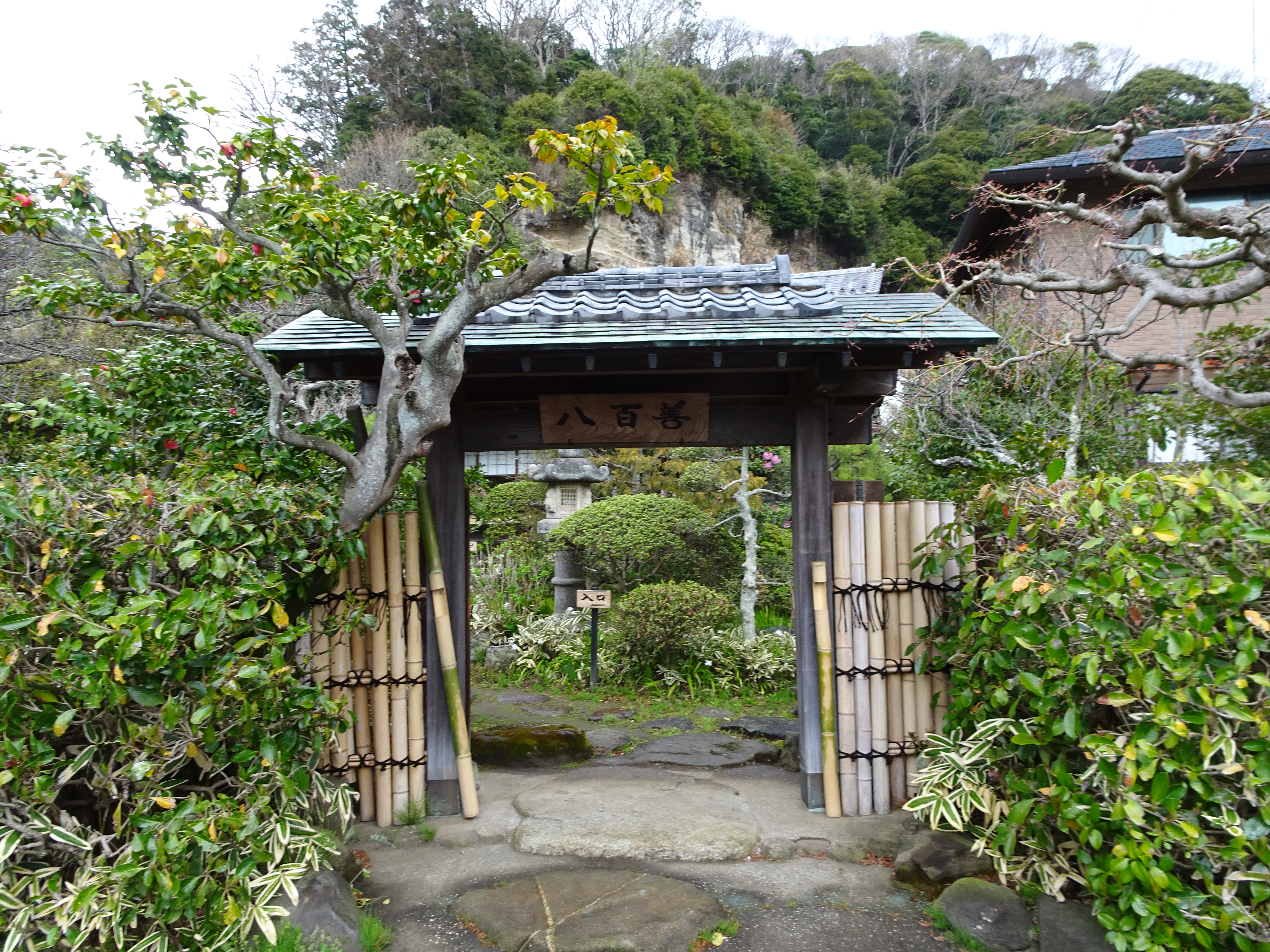 DSC00206